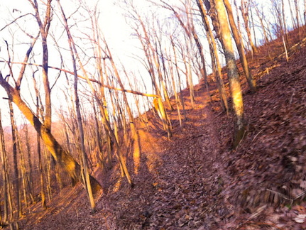 Sheltowee Trace Moonrise